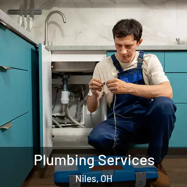 Plumbing Services Niles, OH